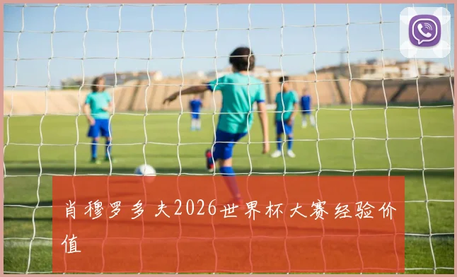 肖穆罗多夫2026世界杯大赛经验价值