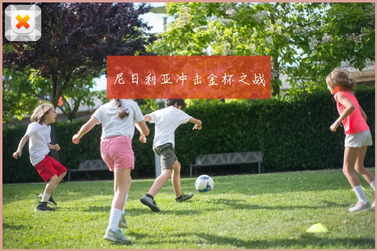 尼日利亚冲击金杯之战
