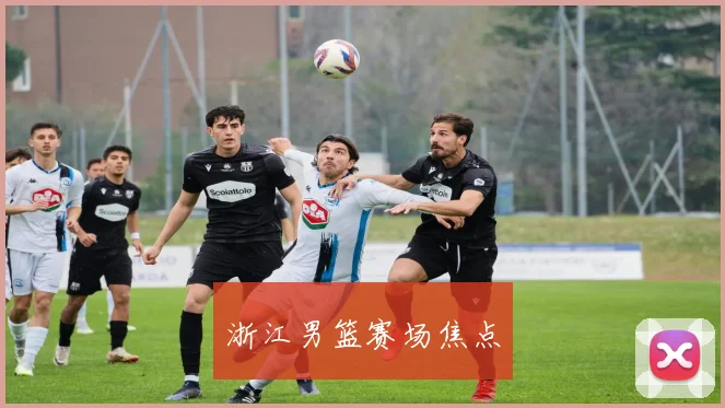 浙江男篮赛场焦点