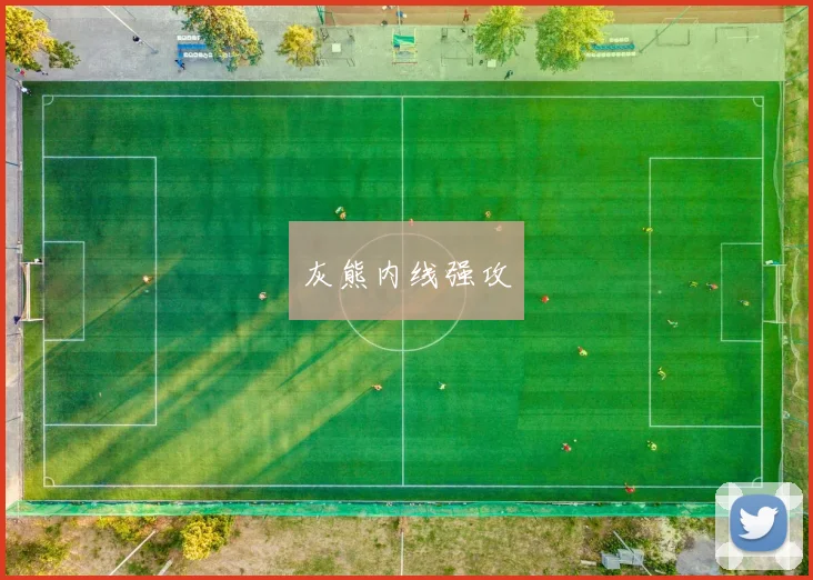 灰熊内线强攻