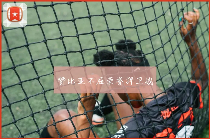 赞比亚不屈荣誉捍卫战