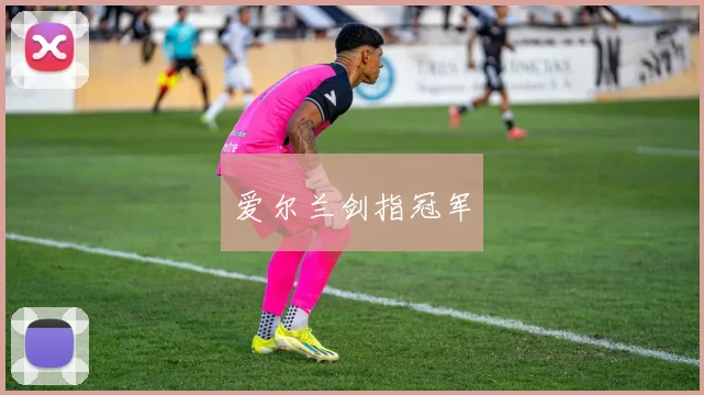爱尔兰剑指冠军