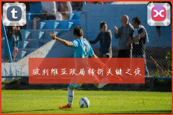 玻利维亚政局转折关键之夜