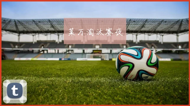 莱万淘汰赛夜