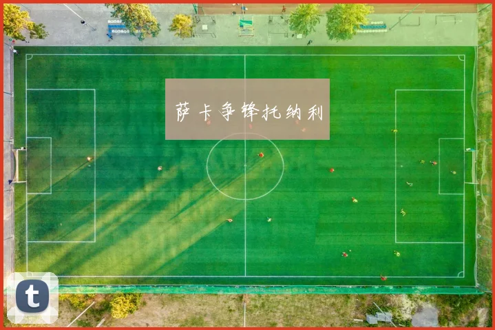 萨卡争锋托纳利