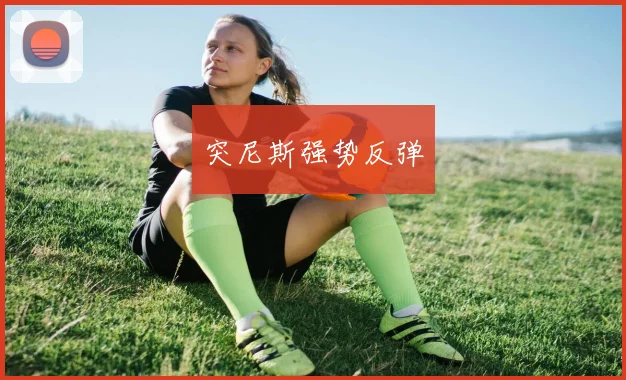 突尼斯强势反弹