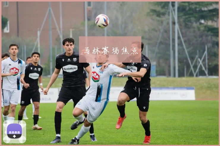 马林赛场焦点