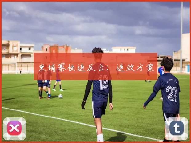 柬埔寨快速反击：速效方案