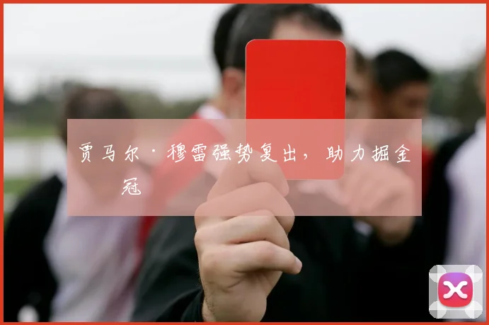 贾马尔·穆雷强势复出，助力掘金冲冠