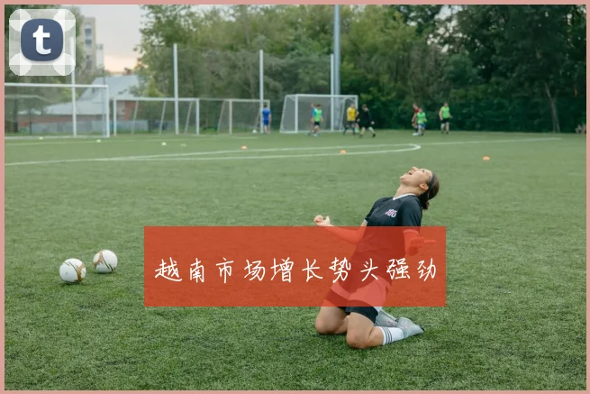 越南市场增长势头强劲