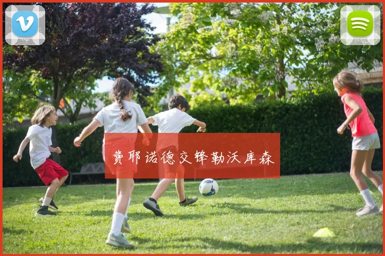 费耶诺德交锋勒沃库森