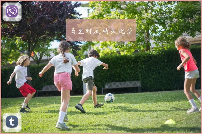 马里对决纳米比亚