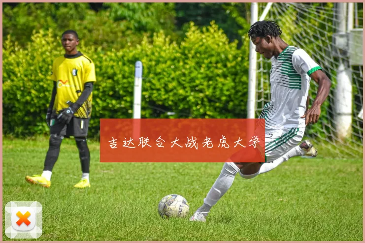 吉达联合大战老虎大学