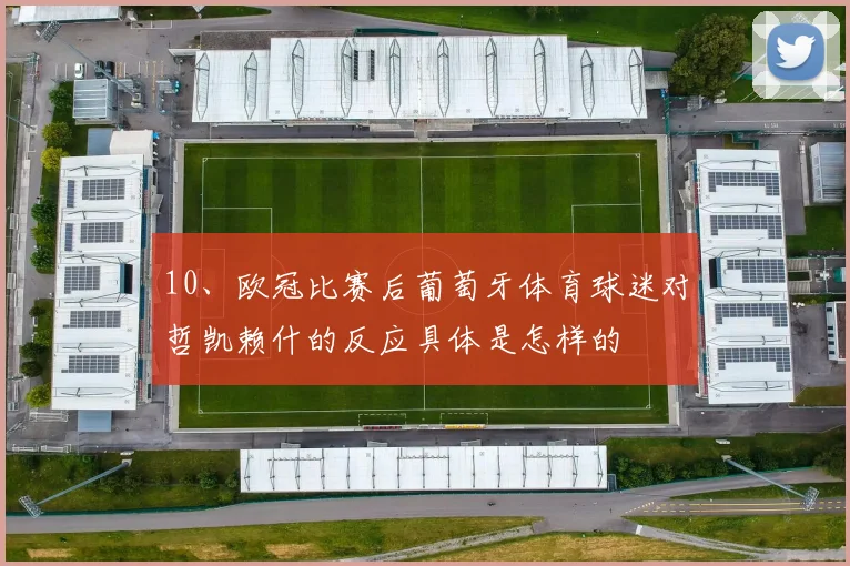 10、欧冠比赛后葡萄牙体育球迷对哲凯赖什的反应具体是怎样的