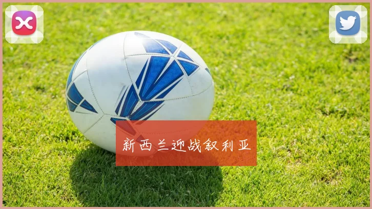 新西兰迎战叙利亚