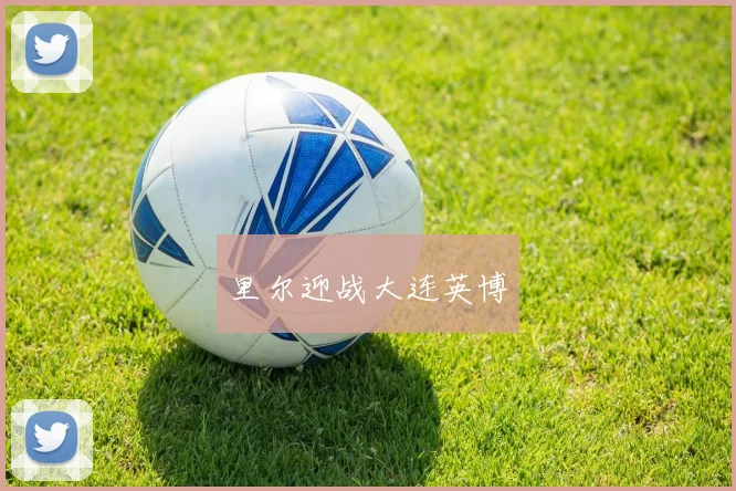 里尔迎战大连英博