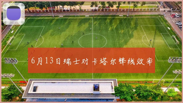 6月13日瑞士对卡塔尔锋线效率