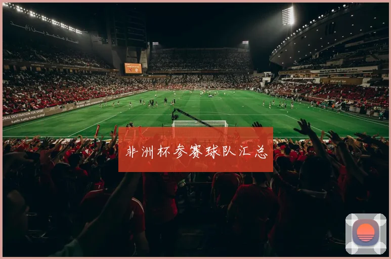 非洲杯参赛球队汇总