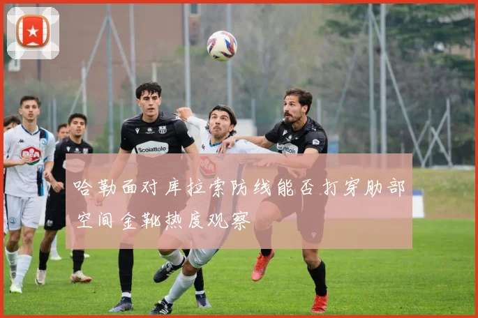 哈勒面对库拉索防线能否打穿肋部空间金靴热度观察