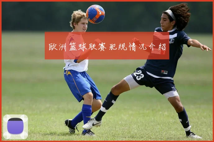 欧洲篮球联赛犯规情况介绍